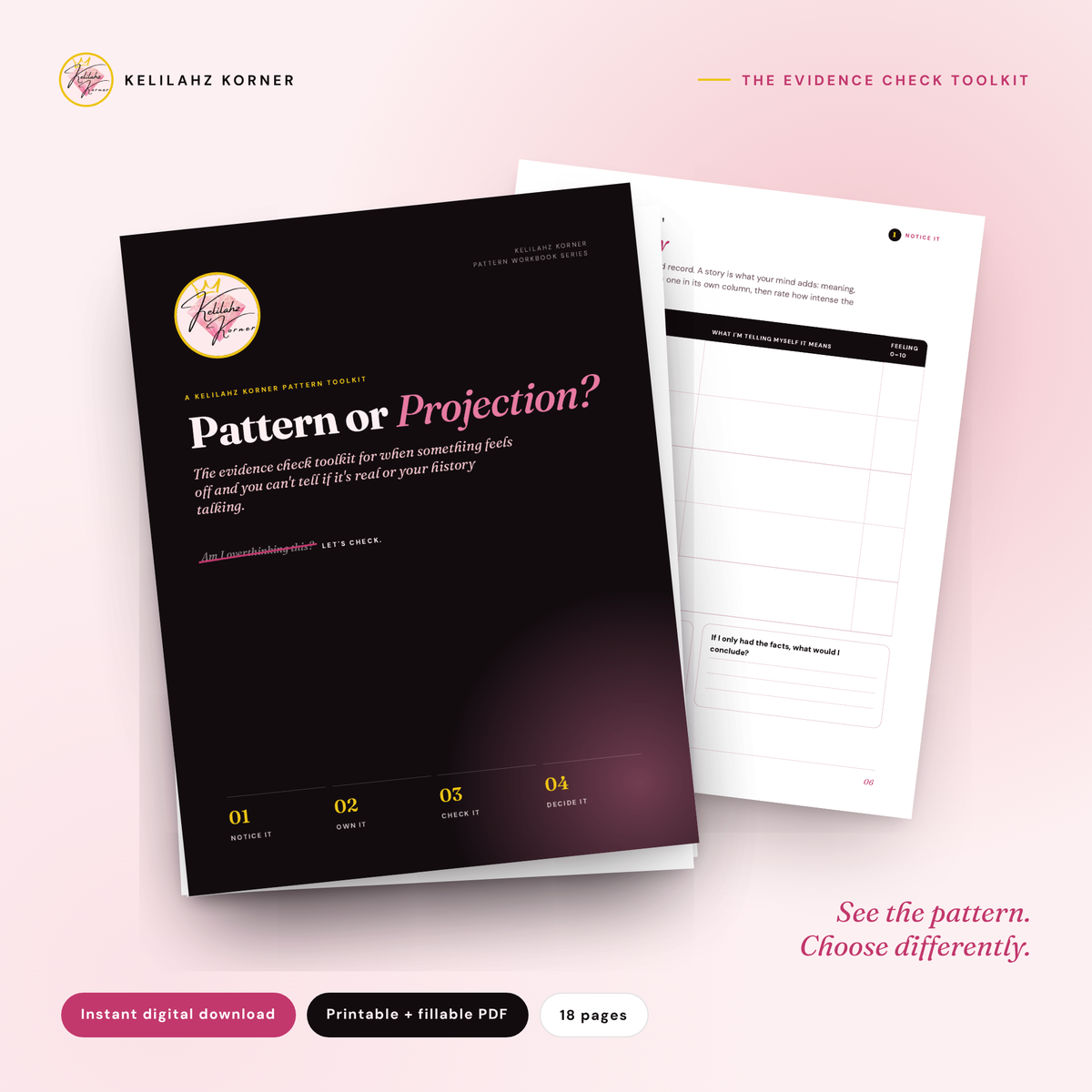 Pattern or Projection? The Evidence Check Toolkit