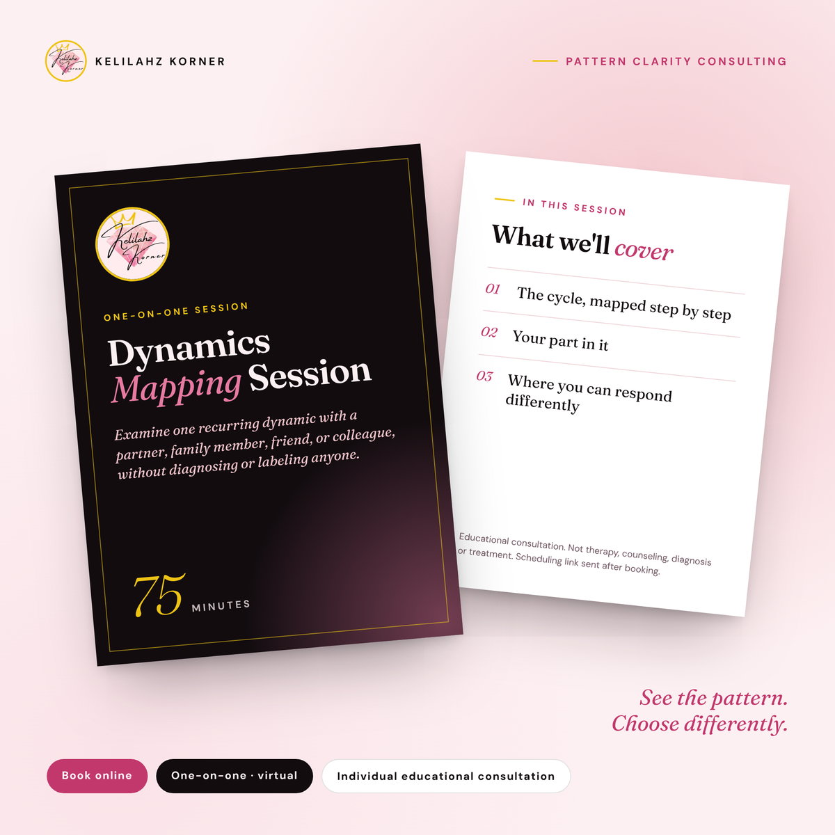 Dynamics Mapping Session (75 min)